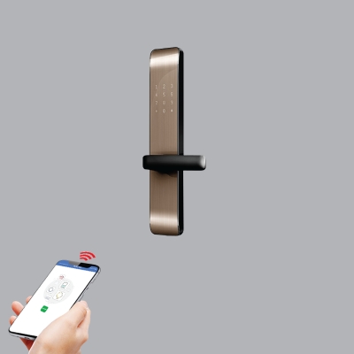 KHÓA CỬA THÔNG MINH MÀU VÀNG DL2