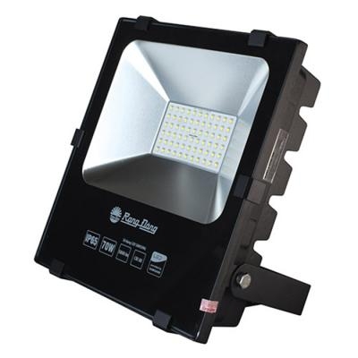 Đèn LED chiếu pha (D CP 03L/70w) - LED SS