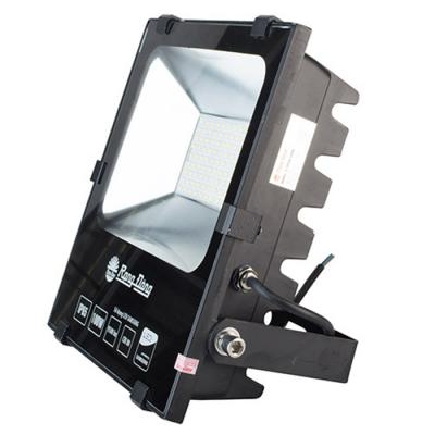 Đèn LED chiếu pha (D CP 03L/100w) - LED SS