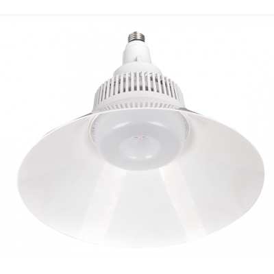 Đèn LED High Bay Điện Quang ĐQ LEDHB05 60765 (60W daylight)