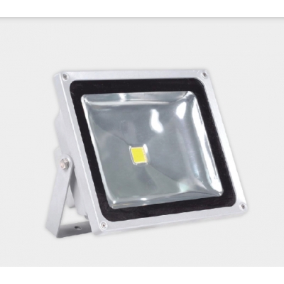 Đèn LED pha Điện Quang ĐQ LEDFL01 20765 (20W daylight, IP65)
