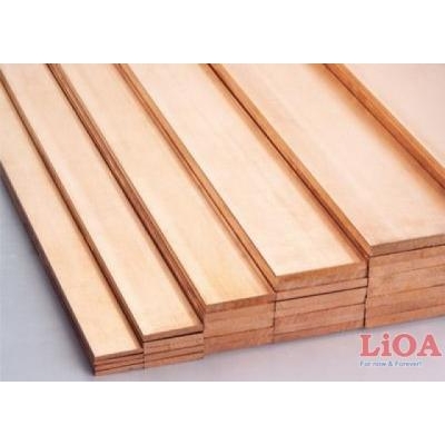 Sản phẩm đồng thanh cái Lioa