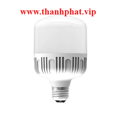 Đèn LED bulb công suất lớn Điện Quang ĐQ LEDBU10 25765AW (25W Daylight)