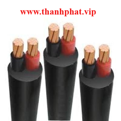 Dây Cáp Điện 2 Lõi Cadivi CVV 2x400